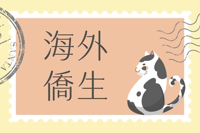 【2026】【僑港澳單招】實踐大學僑生單獨招生(第一階段)錄取公告圖片