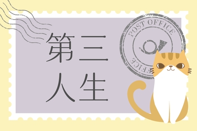 【2026】【30+大學】115學年度30+大學榜單及報到註冊注意事項圖片